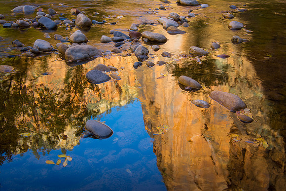 Zion River Walk Trail-20