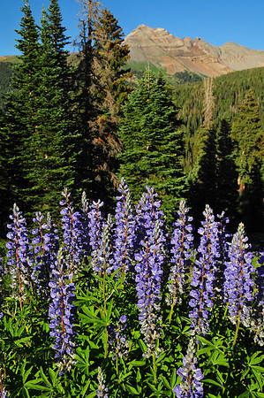 Echo Basin Wild-2010-69