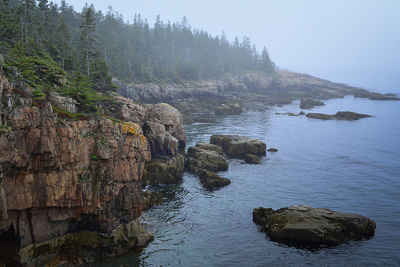 Foggy morning at the Coast of Maine