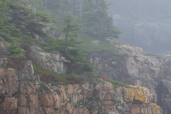 Fog and Granite at Raven's Nest