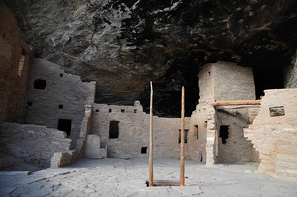 Spruce Tree House