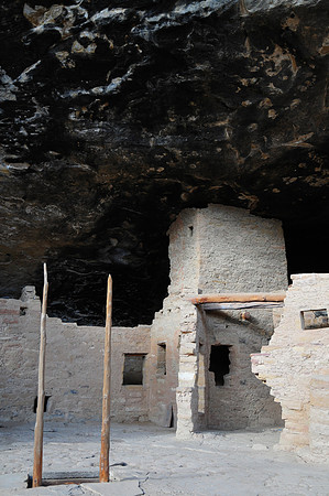 Spruce Tree House