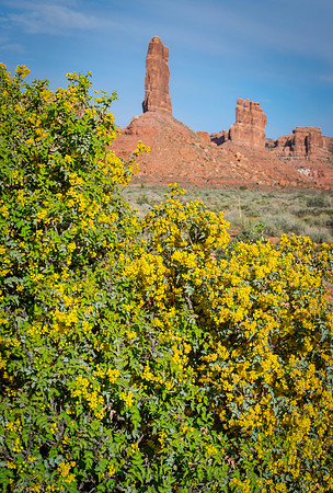 Valley of the Gods-Spring Bears Ears National Monument