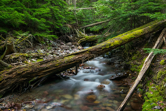 Glacier National Park-AIR-24