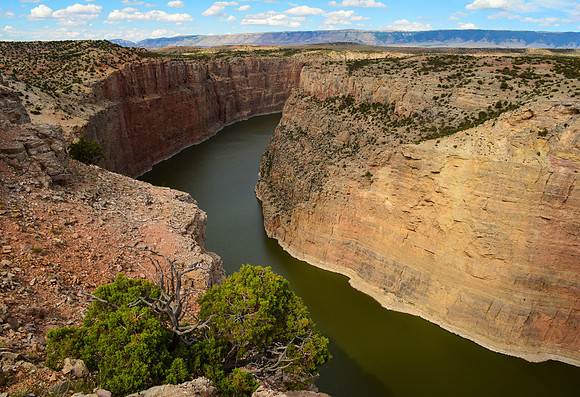 Bighorn Canyon Meander