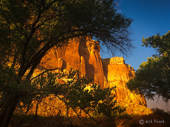 Evening Light