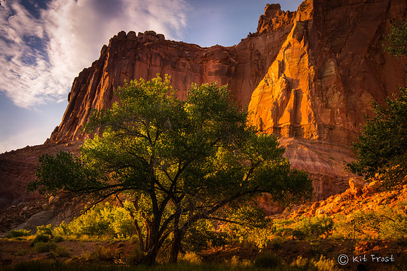 Sulphur Creek, Cottonwood and Wingate Cliffs