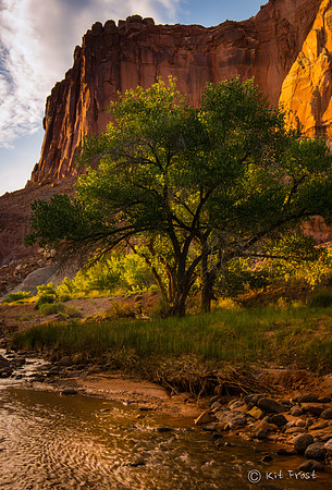 Sulphur Creek, Cottonwood and Wingate Cliffs
