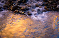 Zion River Walk Trail-5