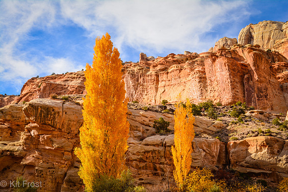 Poplars and Fruita Cliffs