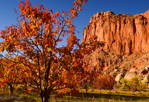Orchards and Fruita Cliffs