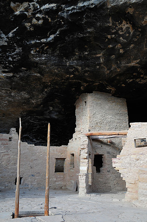 Spruce Tree House