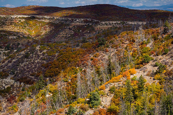 The landscape of Mesa Verde