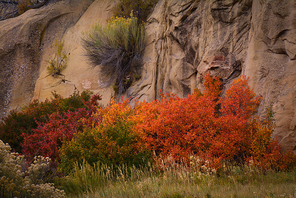 Along the Park Road, Mesa Verde