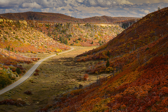 A look back at the Autumn Color