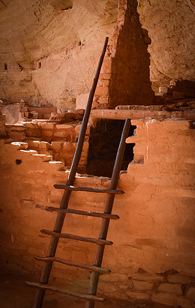 Long House Ladder