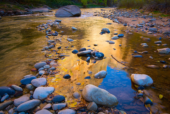 Zion River Walk