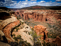 Arch Canyon