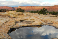 Waterpockets along Cedar Mesa