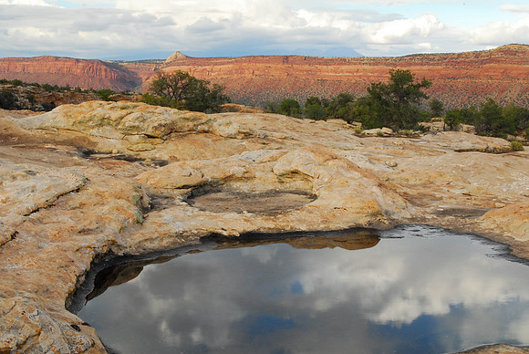 Waterpockets along Cedar Mesa