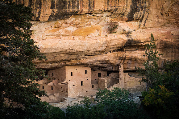 Spruce Tree House