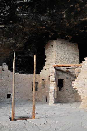Spruce Tree House
