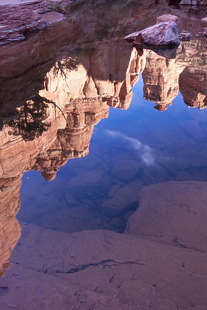 Owl Creek Reflection
