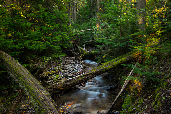 Glacier National Park-AIR-22